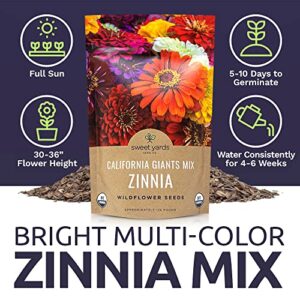 Bulk Zinnia Seeds - California Giants Mix - Bulk 1/4 Pound Bag Over 12,000 Flower Seeds - Mixed Colors and Large Blooms