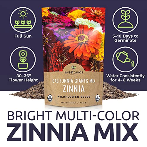 Bulk Zinnia Seeds - California Giants Mix - Bulk 1/4 Pound Bag Over 12,000 Flower Seeds - Mixed Colors and Large Blooms