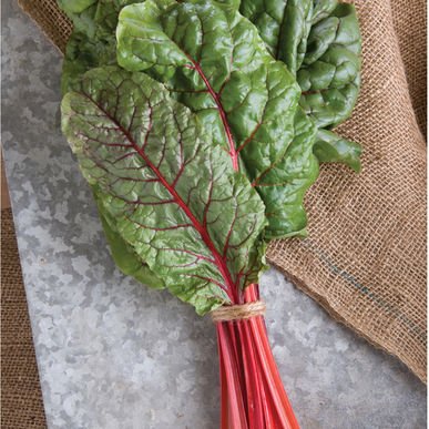 David's Garden Seeds Swiss Chard Ruby Red FBA-7522 (Maroon) 200 Non-GMO, Heirloom Seeds