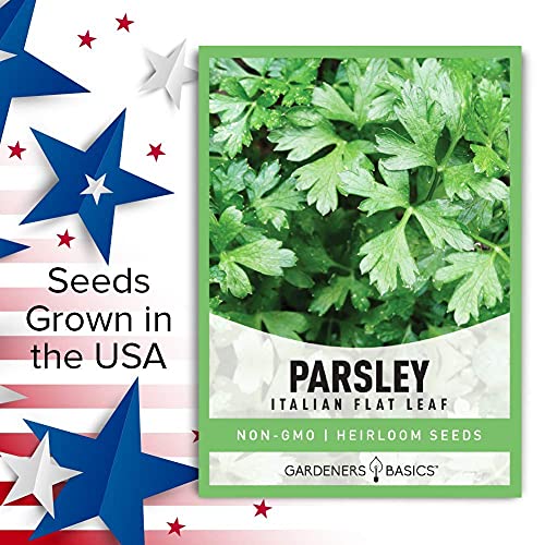 Parsley Seeds for Planting, Italian Flat Leaf is A Heirloom, Open-Pollinated, Non-GMO Herb Variety- Great for Indoor and Outdoor Gardening and Herbal Tea Gardens by Gardeners Basics