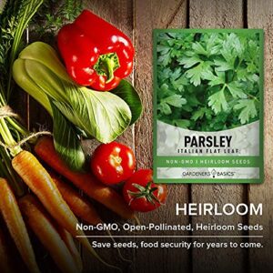 Parsley Seeds for Planting, Italian Flat Leaf is A Heirloom, Open-Pollinated, Non-GMO Herb Variety- Great for Indoor and Outdoor Gardening and Herbal Tea Gardens by Gardeners Basics