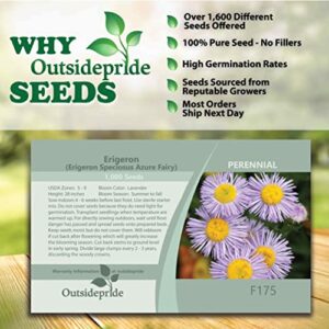 Outsidepride Erigeron Azure Fairy, Showy Daisy, Aspen Fleabane Garden Cut Flowers - 1000 Seeds