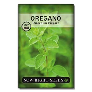 sow right seeds – oregano seed for planting; non-gmo heirloom; instructions to plant and grow a kitchen herb garden, indoor or outdoor; great gardening gift (1)