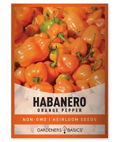 Orange Habanero Pepper Seeds for Planting Heirloom Non-GMO Hot Habanero Peppers Plant Seeds for Home Garden Vegetables Makes a Great Gift for Gardeners by Gardeners Basics