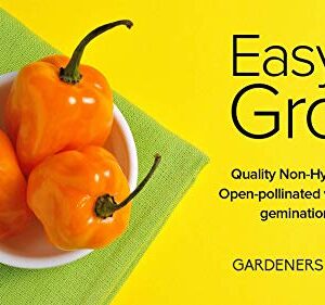 Orange Habanero Pepper Seeds for Planting Heirloom Non-GMO Hot Habanero Peppers Plant Seeds for Home Garden Vegetables Makes a Great Gift for Gardeners by Gardeners Basics