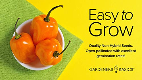 Orange Habanero Pepper Seeds for Planting Heirloom Non-GMO Hot Habanero Peppers Plant Seeds for Home Garden Vegetables Makes a Great Gift for Gardeners by Gardeners Basics