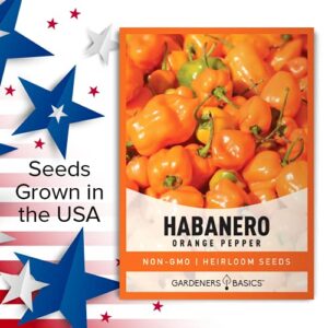 Orange Habanero Pepper Seeds for Planting Heirloom Non-GMO Hot Habanero Peppers Plant Seeds for Home Garden Vegetables Makes a Great Gift for Gardeners by Gardeners Basics