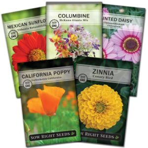 sow right seeds – warm color flower seed for planting – red sunflower, orange poppy, yellow zinnia, plus daisy and columbine seeds – non-gmo variety to plant a flower garden