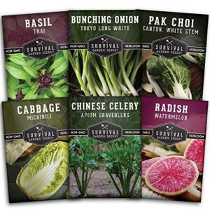 Survival Garden Seeds - Asian Vegetable Collection Seed Vault for Planting - Thai Basil, Napa Cabbage, Canton Pak Choi, Chinese Celery, Green Onions, Watermelon Radish - Non-GMO Heirloom Varieties