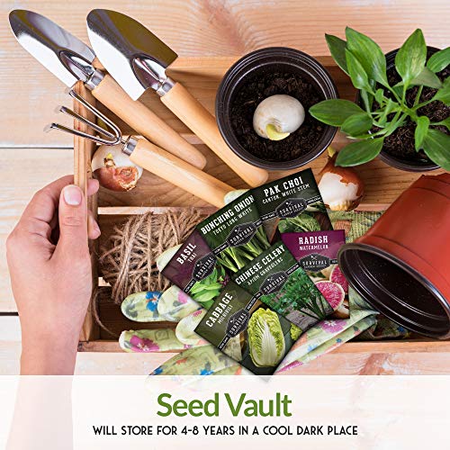 Survival Garden Seeds - Asian Vegetable Collection Seed Vault for Planting - Thai Basil, Napa Cabbage, Canton Pak Choi, Chinese Celery, Green Onions, Watermelon Radish - Non-GMO Heirloom Varieties