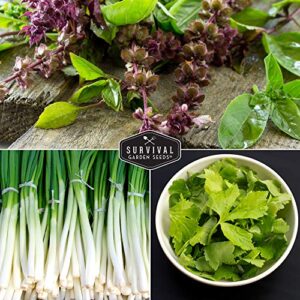 Survival Garden Seeds - Asian Vegetable Collection Seed Vault for Planting - Thai Basil, Napa Cabbage, Canton Pak Choi, Chinese Celery, Green Onions, Watermelon Radish - Non-GMO Heirloom Varieties