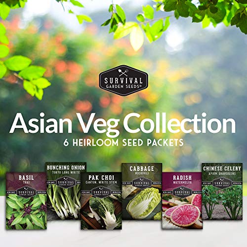 Survival Garden Seeds - Asian Vegetable Collection Seed Vault for Planting - Thai Basil, Napa Cabbage, Canton Pak Choi, Chinese Celery, Green Onions, Watermelon Radish - Non-GMO Heirloom Varieties