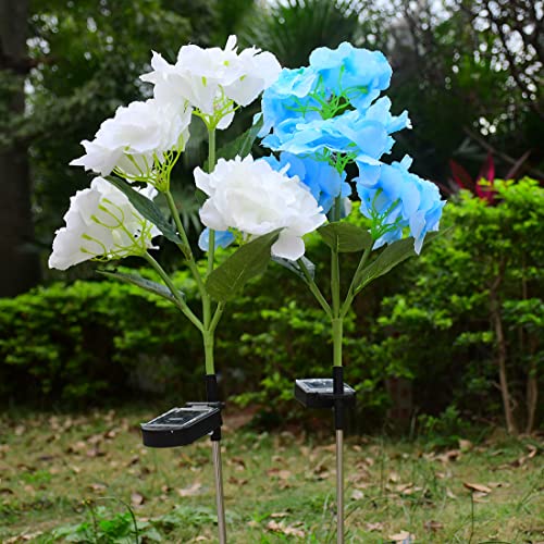 Solar Lights Outdoor Decorative 2 Pack Waterproof Hydrangea Silk Flowers Solar Powered Garden Stake Lights Solar Lights Outdoor Ground Lights for Patio Garden Yard Lawn Pathway (Blue and White)