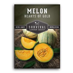 survival garden seeds – hearts of gold melon seed for planting – packet with instructions to plant and grow sugar sweet cantaloupe fruit in your home vegetable garden – non-gmo heirloom variety