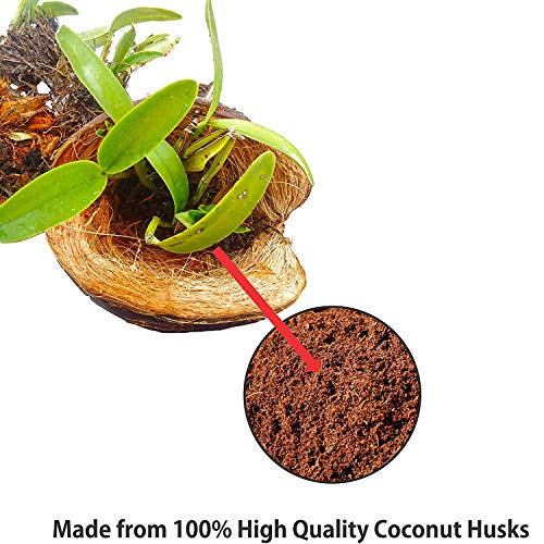 Coco Coir Bricks for Plants - Compressed Coconut Fiber Substrate Garden Coir Plant Soil for Vegetables Flowers Berries Planting, Reptile Bedding(3 Pack)