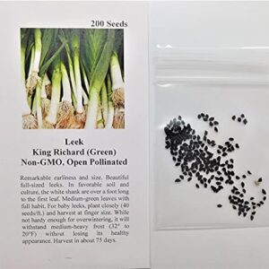 David's Garden Seeds Leek King Richard (Green) 200 Non-GMO, Open Pollinated Seeds