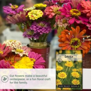 Sow Right Seeds - Yellow Daisy Flower Seeds for Planting, Beautiful Flowers to Plant in Your Garden; Non-GMO Heirloom Seeds; Wonderful Gardening Gifts (1)