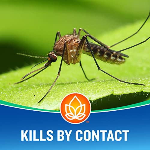 Cutter Essentials Bug Control Spray Concentrate, Kills Mosquitoes by Contact