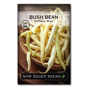 sow right seeds – golden wax bean seed for planting – non-gmo heirloom packet with instructions to plant a home vegetable garden