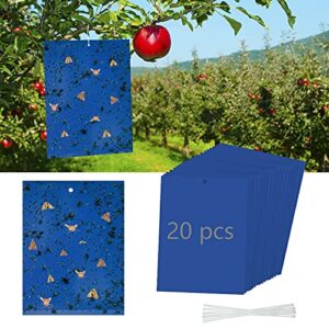 20 pack blue sticky trap fungus traps, gnat killer fruit fly paper moth traps for thrips indoor outdoor