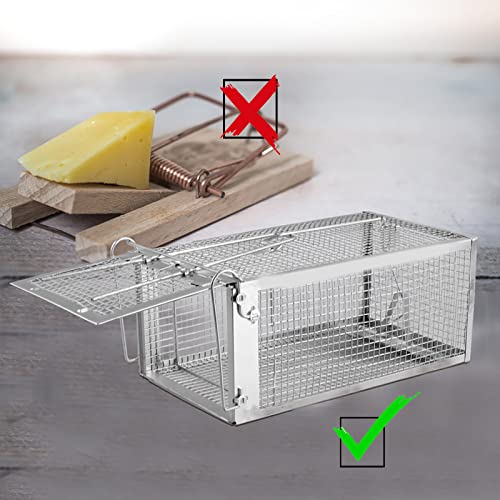 PIXESTT Humane Mouse Trap, Rat Cage Trap Suitable for Capturing Mice or Hamsters Alive, Friendly Small Animal Humane Live Cage Rat - 11.2'' X 5.5'' X 5''