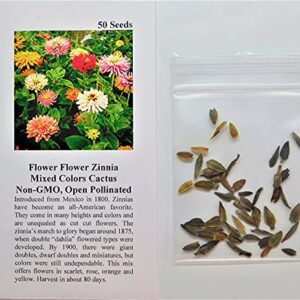 David's Garden Seeds Flower Zinnia Mixed Colors Cactus 1136 (Multi) 50 Non-GMO, Heirloom Seeds