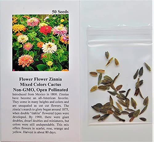 David's Garden Seeds Flower Zinnia Mixed Colors Cactus 1136 (Multi) 50 Non-GMO, Heirloom Seeds