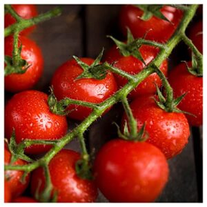 Everwilde Farms - 100 Large Red Cherry Tomato Seeds - Gold Vault Jumbo Seed Packet