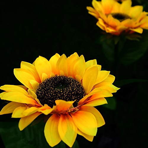 XinCanKun 4 Pack Solar Lights Outdoor - New Upgraded Solar Garden Lights, Multi-Color Changing Sunflower Solar Flower Lights for Patio,Yard Decoration, Bigger Flower and Wider Solar Panel