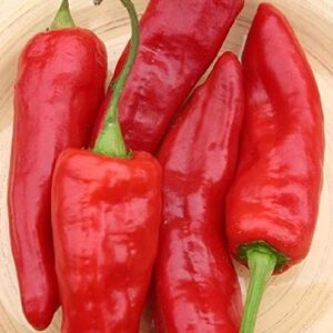 david’s garden seeds pepper specialty sweet marconi red fba-8722 (red) 25 non-gmo, heirloom seeds