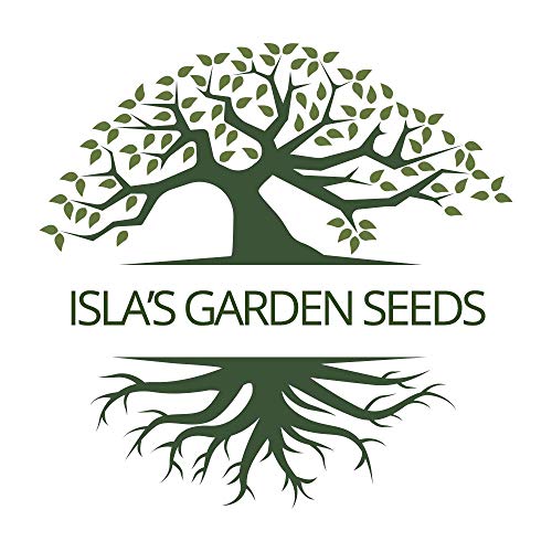 Golden Wax Bush Bean Plant Seeds, 50 Heirloom Seeds Per Packet, Non GMO Seeds, (Isla's Garden Seeds), Botanical Name: Phaseolus vulgaris, 85% Germination Rates