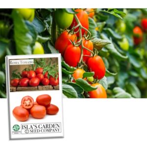 roma heirloom tomato seeds for planting, 300+ seeds per packet, (isla’s garden seeds), non gmo seeds, 90% germination rates, botanical name: solanum lycopersicum, great home garden gift