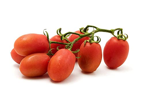 Roma Heirloom Tomato Seeds for Planting, 300+ Seeds Per Packet, (Isla's Garden Seeds), Non GMO Seeds, 90% Germination Rates, Botanical Name: Solanum lycopersicum, Great Home Garden Gift