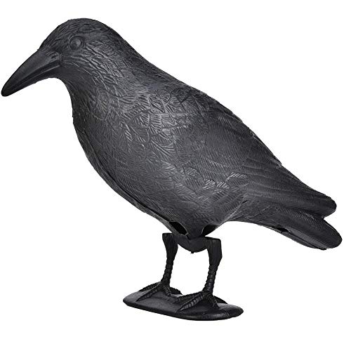 01 Simulation Crow Desktop Decor, PE Material Simulation Crow for Garden Decoration for Hunting Bait for Halloween(Black)