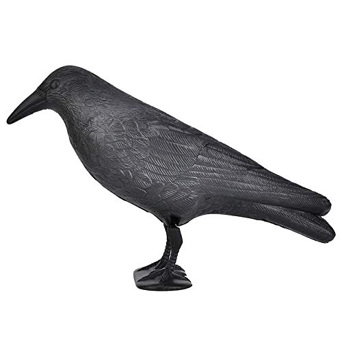 01 Simulation Crow Desktop Decor, PE Material Simulation Crow for Garden Decoration for Hunting Bait for Halloween(Black)