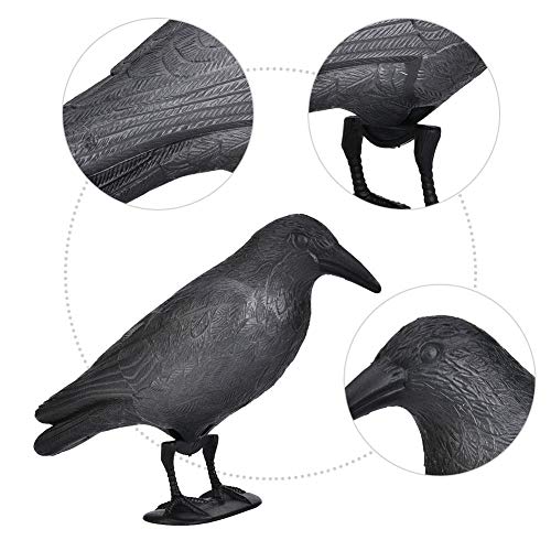 01 Simulation Crow Desktop Decor, PE Material Simulation Crow for Garden Decoration for Hunting Bait for Halloween(Black)