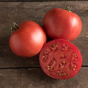 David's Garden Seeds Tomato Slicing Indeterminate Moskvich 7412 (Red) 25 Non-GMO, Heirloom Seeds