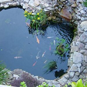 dashengdianzi Pond Liner, 6' x 10' Preformed Pond Liner Pond Skins for Fish Ponds, Waterfall, Streams Fountains and Water Gardens