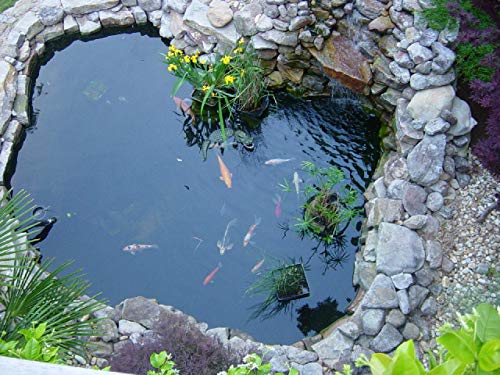 dashengdianzi Pond Liner, 6' x 10' Preformed Pond Liner Pond Skins for Fish Ponds, Waterfall, Streams Fountains and Water Gardens