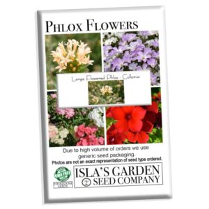 "Large Flowered Phlox" Collomia Seeds for Planting, 50+ Flower Seeds Per Packet, (Isla's Garden Seeds), Non GMO & Heirloom Seeds, Scientific Name: Collomia grandiflora, Great Home Flower Garden Gift