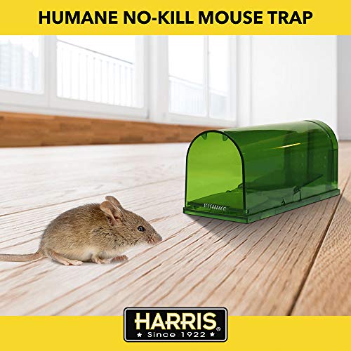 Harris Humane Mouse Trap, Catch and Release, 2-Pack
