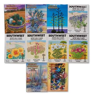 DesertUSA Desert Garden Seed Starter Kit