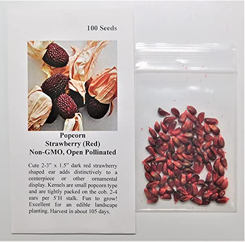 David's Garden Seeds Popcorn Strawberry 9388 (Red) 100 Non-GMO, Heirloom Seeds