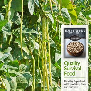 Survival Garden Seeds - Blackeyed Pea Seed for Planting - Packet with Instructions to Plant and Grow Black Eyed Cowpeas in Your Home Vegetable Garden - Non-GMO Heirloom Variety