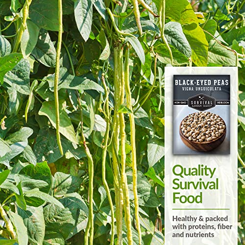 Survival Garden Seeds - Blackeyed Pea Seed for Planting - Packet with Instructions to Plant and Grow Black Eyed Cowpeas in Your Home Vegetable Garden - Non-GMO Heirloom Variety