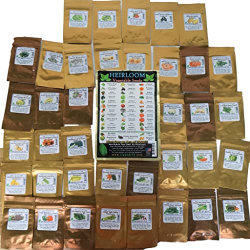 Heirloom Seeds Combo Pack Veggie Over 8000 Seeds and Herbs Packs Over 15,000 Seeds - Medicinal and Cooking Herb Seeds 27 Varieties and Fruit Vegetables 38 Varieties for Your Garden (Herb and Veggie)