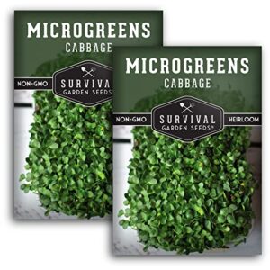 survival garden seeds cabbage microgreens for sprouting and growing – 2 packs – sprout green leafy micro vegetable plants indoors – grow a mini windowsill garden – non-gmo heirloom variety