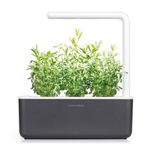 Click and Grow Smart Garden Hyssop Plant Pods, 3-Pack