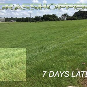 Grasshopper 19-19-19 Foliar Fertilizer