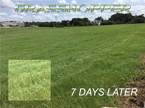 Grasshopper 19-19-19 Foliar Fertilizer